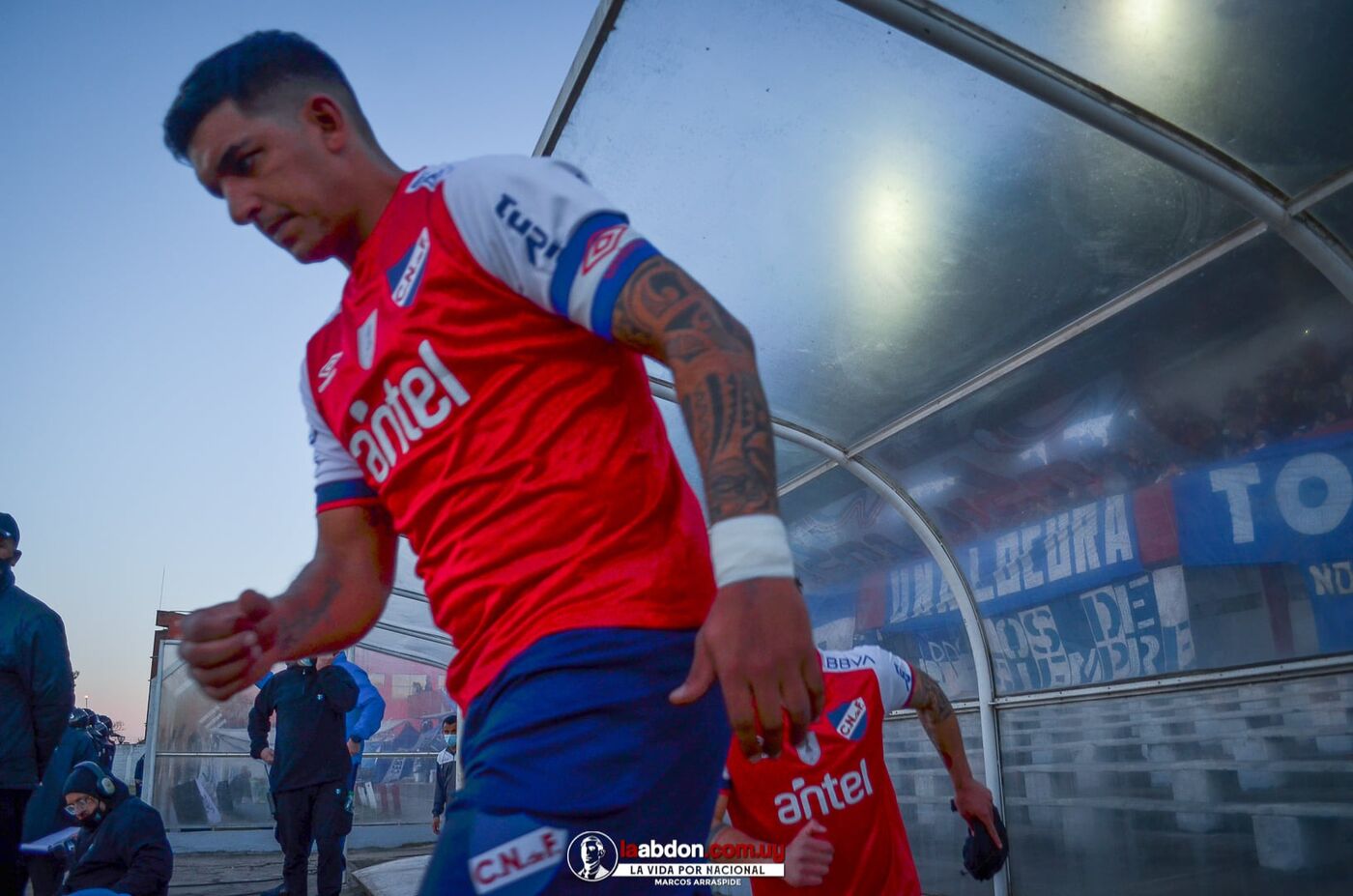Imagen principal de Vuelve NACIONAL