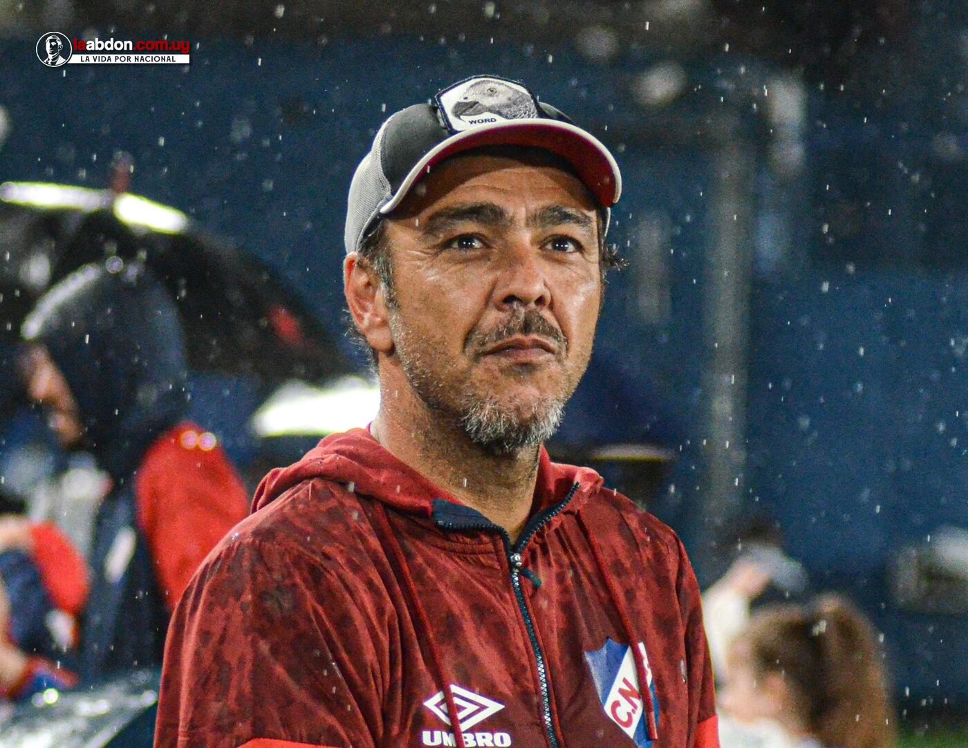 Imagen principal de Chino 2024