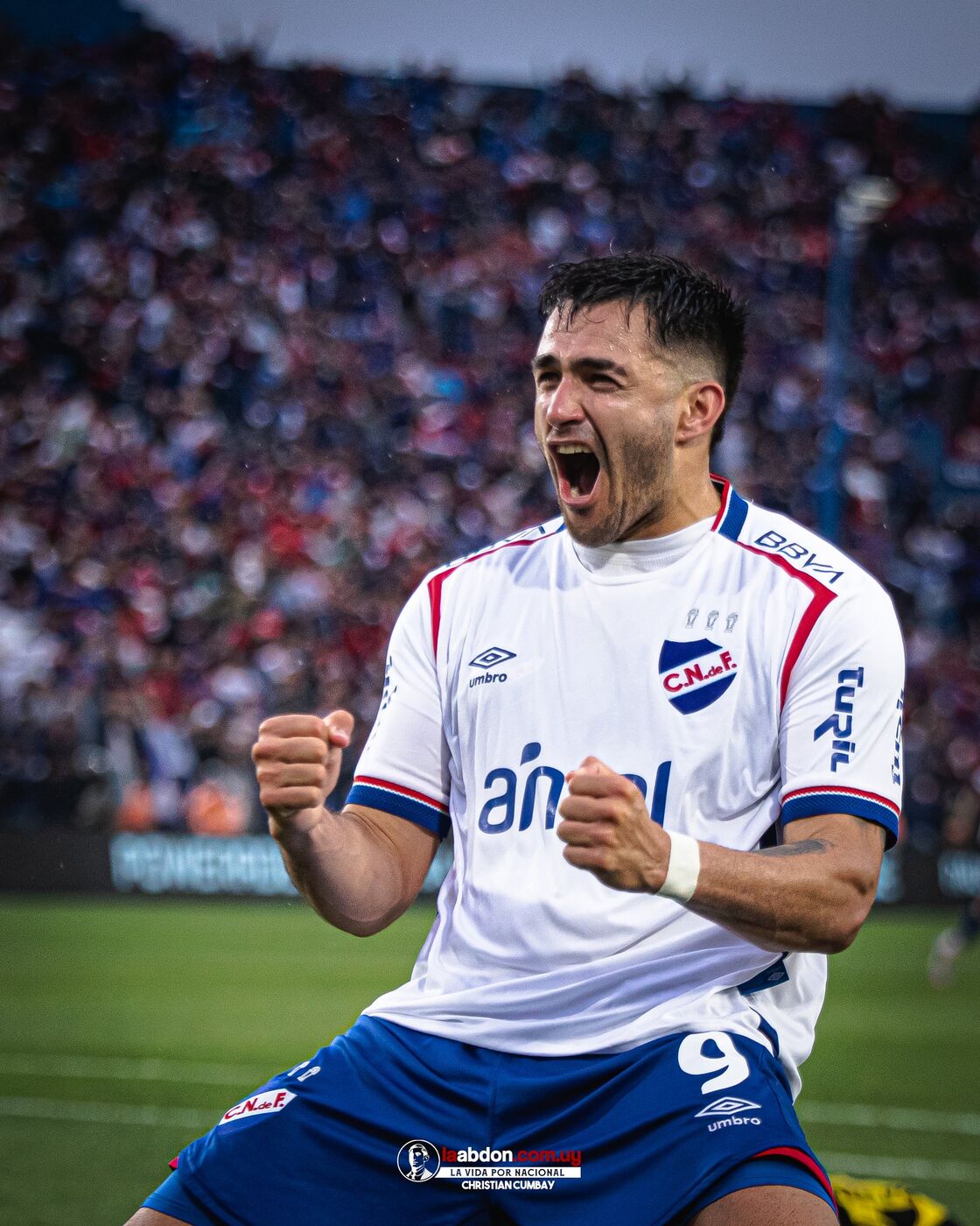 Imagen principal de HAY QUE DEJAR LA VIDA